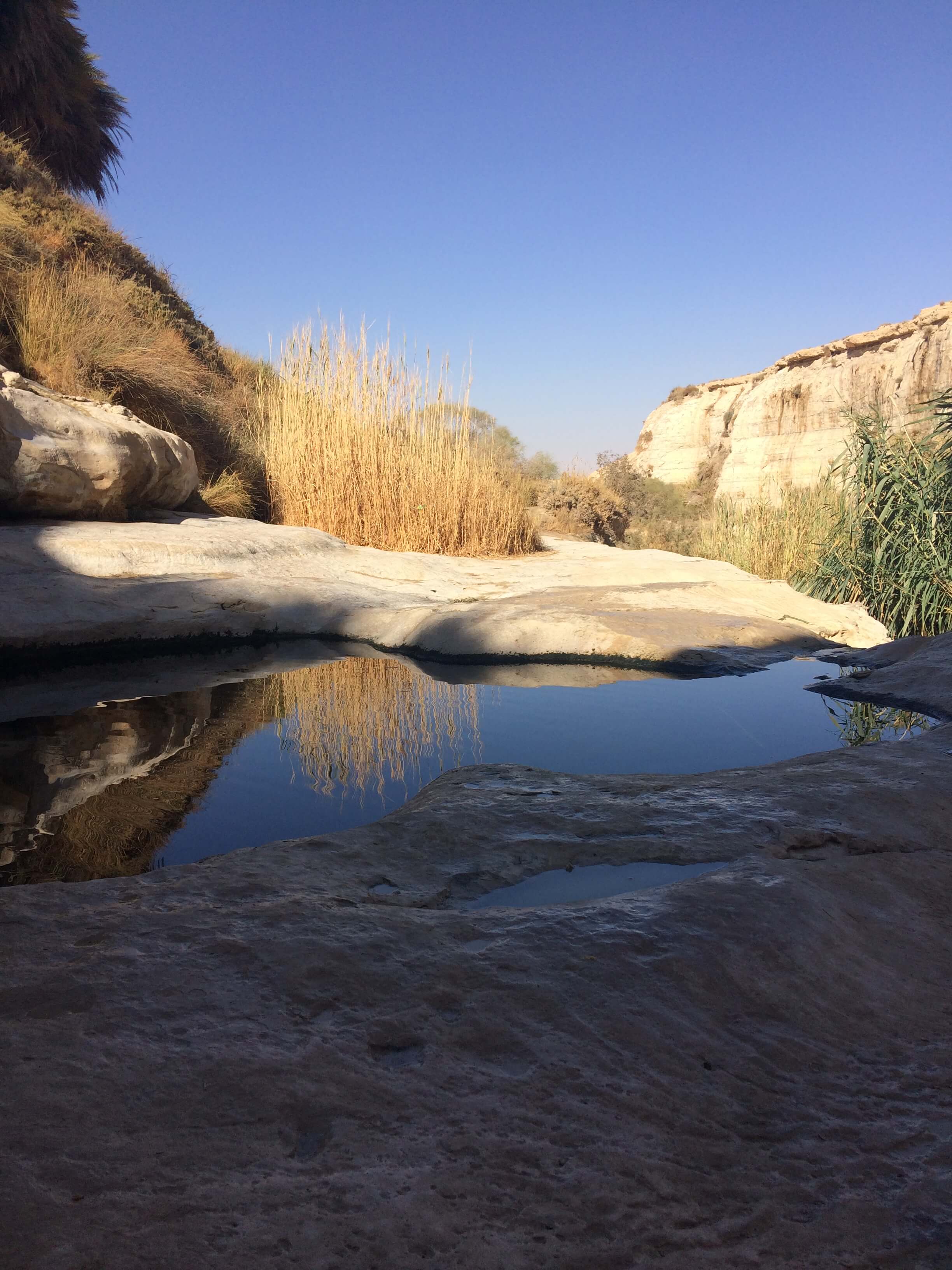 Oase in der Wüste als Metapher für neue Ressourcen